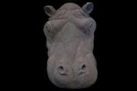 picture of Floating Hippo Head 20
